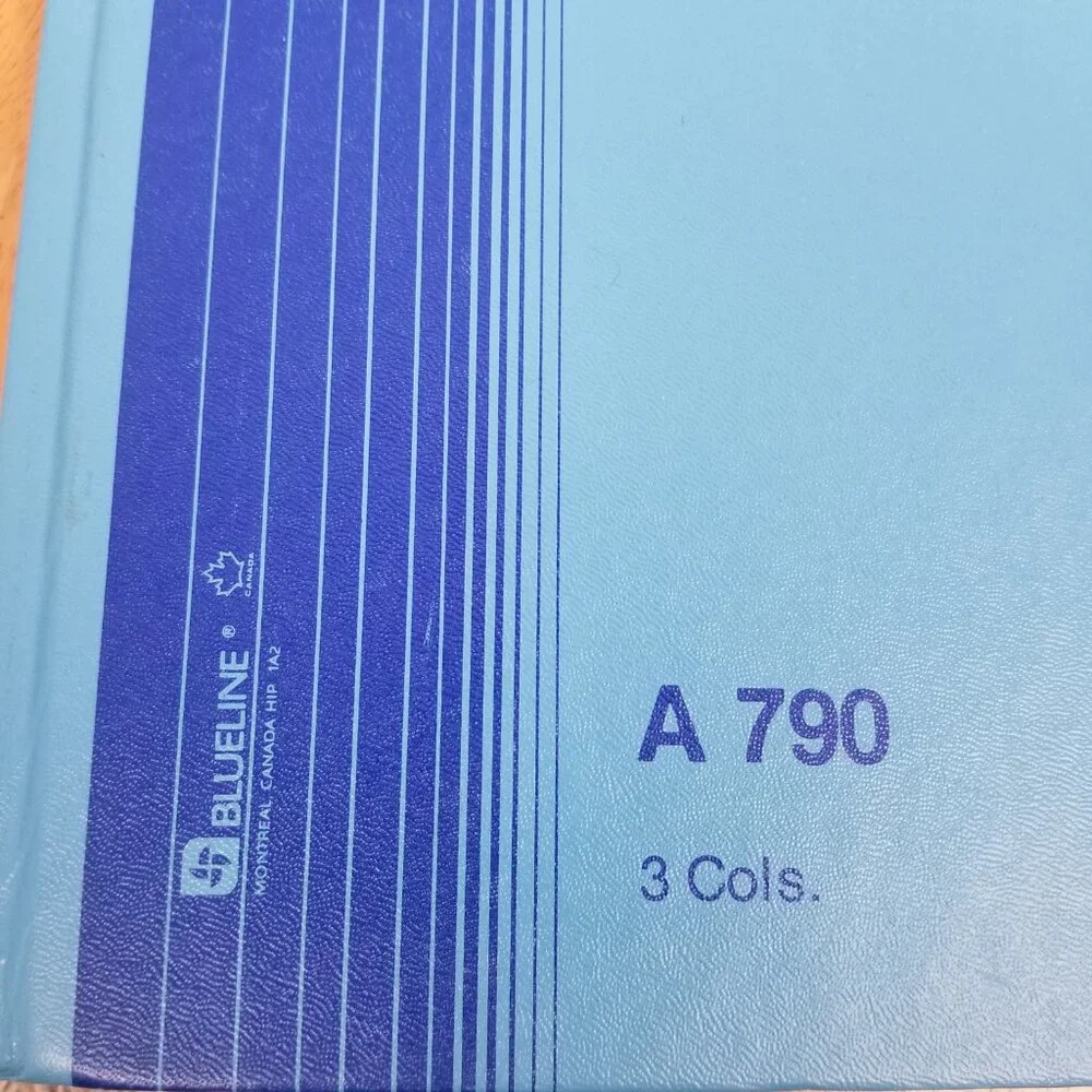 Blueline vintage ledger